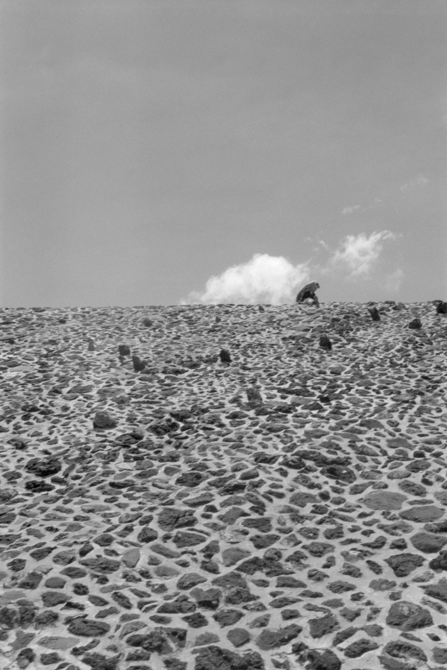 AHP FilmScan 240807 0533